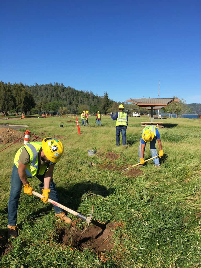 Seven trees are planted near the upper boat ramp on Earth Day