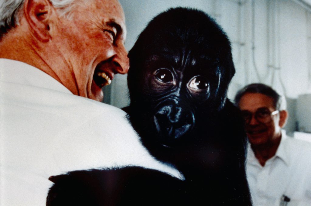 Among his many philanthropic endeavors, Walter’s greatest love was Omaha’s Henry Doorly Zoo & Aquarium. He loved the animals and interacting with them, as shown in the photos above where he is holding a young gorilla and tiger.