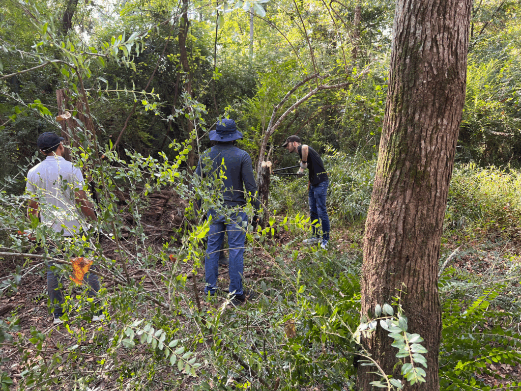 Employees in Texas cleared half an acre of invasive Chinese Tallow and other plant species — work that typically takes three days — in just one morning, helping restore native habitat and protect the local ecosystem.